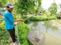 Ngành tôm Thái Lan yêu cầu chính phủ thực thi nghiêm luật chống lạm dụng lao động trẻ em và buôn người