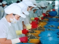 Công ty Cổ phần Thủy sản Bạc Liêu: Áp dụng thành công hệ thống quản lý an toàn thực phẩm