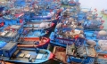 Ô nhiễm ở âu thuyền Thọ Quang, Đà Nẵng: Chưa có lời giải