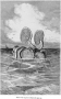 Hình dáng sinh vật biển kỳ quái, xuất hiện năm 1868