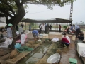 Bắc Giang: Thu tiền tỷ từ mô hình ương nuôi cá giống