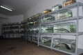 Nơi “nuôi cá chết“ ở Đồng Nai