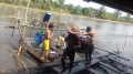 Trung Quốc ồ ạt mua cá tra, coi chừng ‘bẫy giá ảo’