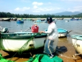 Phú Yên: Kiếm tiền triệu mỗi ngày, ngư dân bỏ Tết “săn” tôm hùm giống