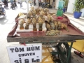 Tôm hùm....bán dạo ở Sài gòn