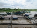 Đồng Tháp: Sà lan tông bè nuôi cá trên sông, gây thiệt hại hàng trăm triệu đồng