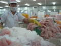 Xuất khẩu thủy sản: Mấu chốt nằm ở giá