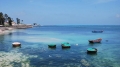 Quảng Ngãi: thành lập khu bảo tồn biển Lý Sơn