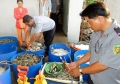 Bạc Liêu: Bắt giữ 1 tấn tôm bơm tạp chất