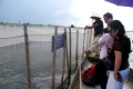 Quảng Điền (Thừa Thiên Huế): Nuôi cá chẽm trong lồng – Hướng nuôi trồng thủy sản hiệu quả