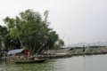 Kết luận ban đầu về nguyên nhân cá chết ở Gia Thủy (Ninh Bình)