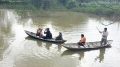 Cá chết bất thường trên sông ở Quảng Ngãi