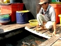 Cá lồng bè Hòn Nghệ chết hàng loạt, thiệt hại trên 12 tỉ đồng
