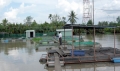 Tiền Giang: Cơ sở nuôi thủy sản đầu tiên đạt tiêu chuẩn VietGAP