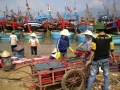 Ngư dân Cảnh Dương trúng đậm cá khoai