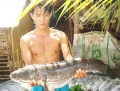 Một nông dân chài được con cá lóc nặng 6kg