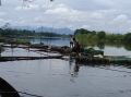 Cá lồng trên sông Bồ lại chết chưa rõ nguyên nhân