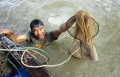 Theo thợ săn "chui" xuống đáy sông mò cá ngát