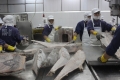 Doanh nghiệp hải sản Việt Nam nỗ lực để xóa thẻ vàng