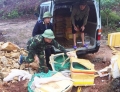 Quảng Ninh: Tiêu hủy trên 1,4 tấn cá sấu không rõ nguồn gốc