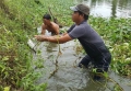 Vụ “Hầm cá thát lát cườm 40 tấn chết”: Chủ cơ sở bồi hoàn 50 triệu đồng