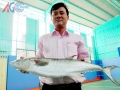 An Giang: Bắt được cá thu nước ngọt nặng 4kg
