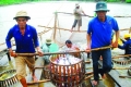 Cá tra mất thế độc quyền