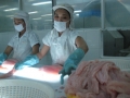 Tôm, cá tra xuất khẩu tăng trở lại