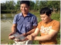 Lâm Đồng: Kết quả mô hình nuôi cá hô thương phẩm trong ao đất