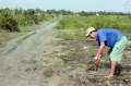 Tạo nguồn tôm nguyên liệu sạch phục vụ chế biến xuất khẩu thủy sản