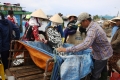 Hậu thảm họa cá chết do Formosa: Dân cần ra biển, không cần gạo cứu trợ mãi