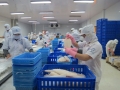 Cơ hội, thách thức mới đối với thị trường xuất khẩu cá tra Việt Nam