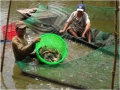 Bình Liêu: Những khởi đầu đáng ghi nhận