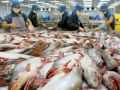 Ngành thủy sản đối mặt với hàng loạt khó khăn, ngư dân điêu đứng