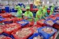 Cá tra Việt Nam đối mặt nhiều khó khăn