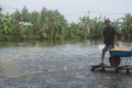 Các giải pháp phát triển nuôi, chế biến cá tra trên địa bàn tỉnh Trà Vinh