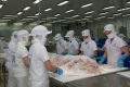 Đồng Tháp: Năm 2015, các sản phẩm chủ lực của tỉnh đều tăng sản lượng