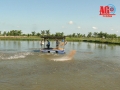 Làm sao vực dậy “kho báu” trên dòng Cửu Long?