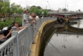 Cần ngăn chặn tình trạng câu cá giải trí ở kênh Nhiêu Lộc, Tàu Hũ