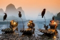 Trung Quốc tạm cấm đánh bắt cá ở các sông