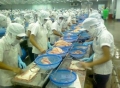 Doanh nghiệp thủy sản gặp khó vì ân hạn thuế