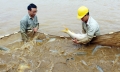 Lào Cai: Thủy sản Bảo Thắng có bước phát triển mới