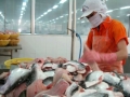 Tìm cách đa dạng hóa thị trường cá tra
