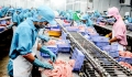 Xuất khẩu cá tra vào Trung Quốc tăng, EU sụt giảm