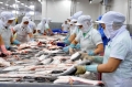 Việt Nam ký kết TPP mở ra cơ hội cho ngành nuôi cá tra
