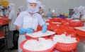 Xuất khẩu thủy sản 6 tháng đầu năm phục hồi
