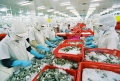 Tôm, cá Việt kiến nghị gỡ khó xuất khẩu hàng sang Trung Quốc