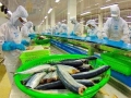 Brazil thanh tra về an toàn thực phẩm thủy sản Việt