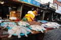Jagalchi - chợ cá nổi tiếng nhất xứ Hàn