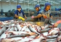 Mức thuế của Mỹ đối với các nhà sản xuất cá tra, basa Việt Nam